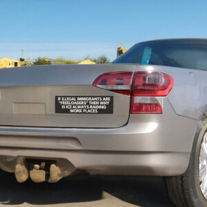 ICE Workplace Raids Car Magnet