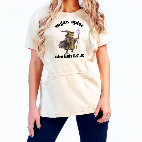 Sugar Spice Abolish ICE Shirt – Frog Wizard T-Shirt – Anti ICE Protest Tee – Cute Political Statement Tee – Pro Immigrant Rights Shirt