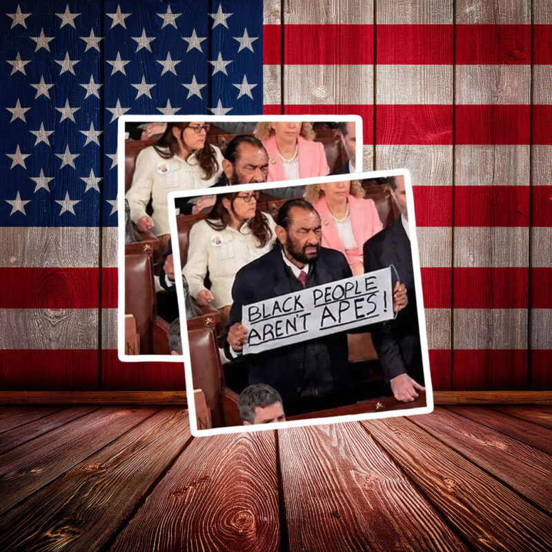 Anti Racism Car Decal – Black People Aren’t Apes Statement Sticker