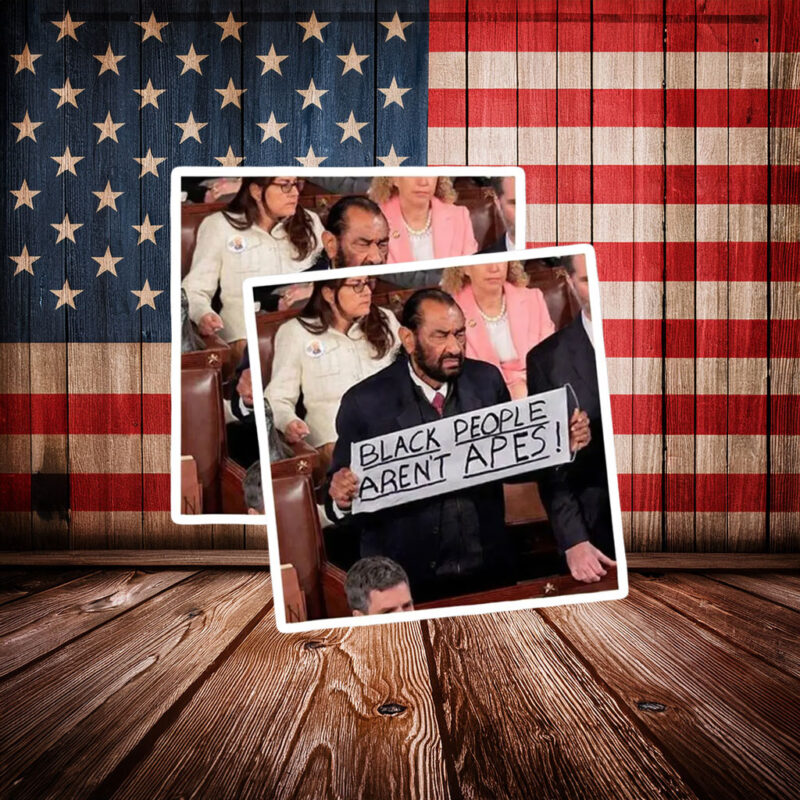 Anti Racism Car Decal – Black People Aren’t Apes Statement Sticker