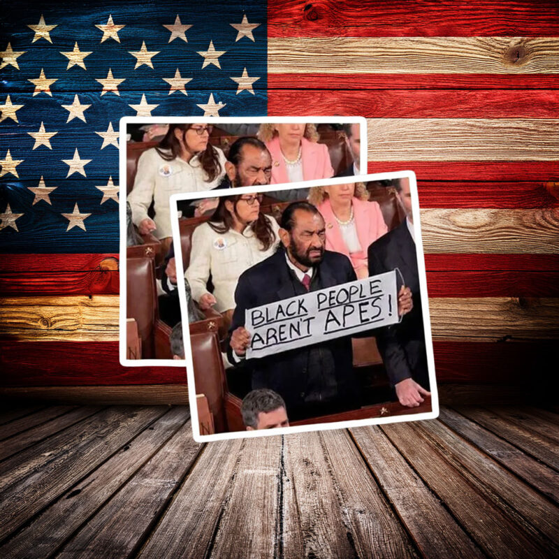 Anti Racism Car Decal – Black People Aren’t Apes Statement Sticker