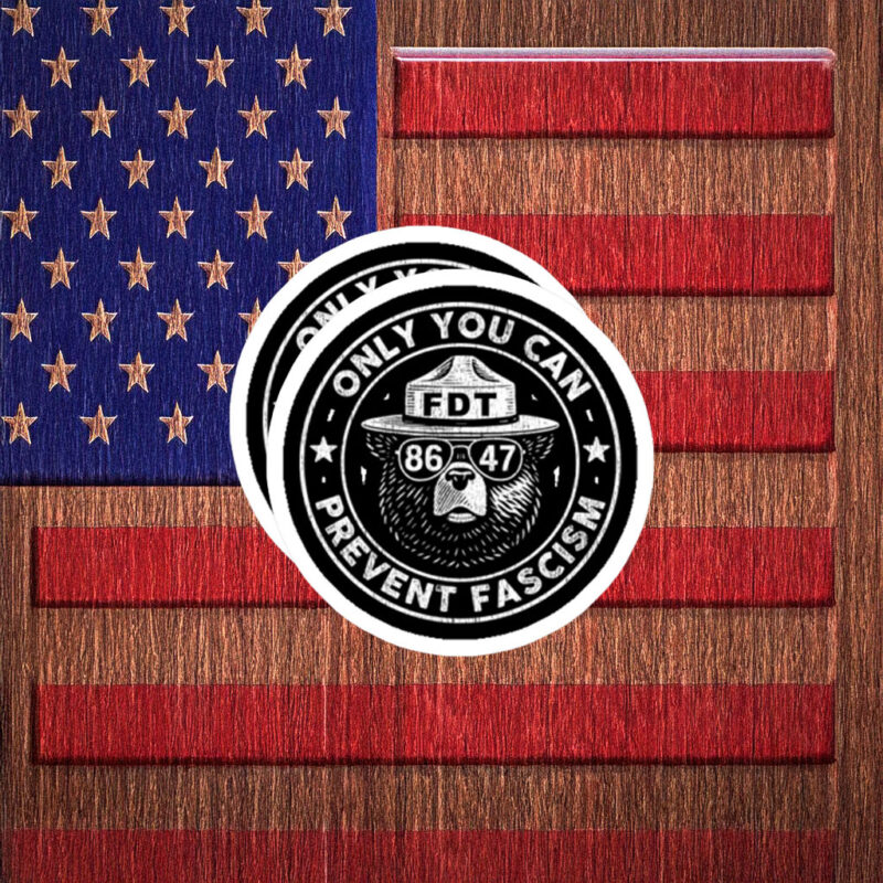 FDT 8647 Only You Can Prevent Fascism Bear Sticker