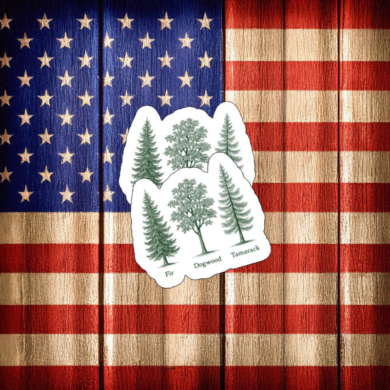 Fir Dogwood Tamarack Tree Illustration Sticker
