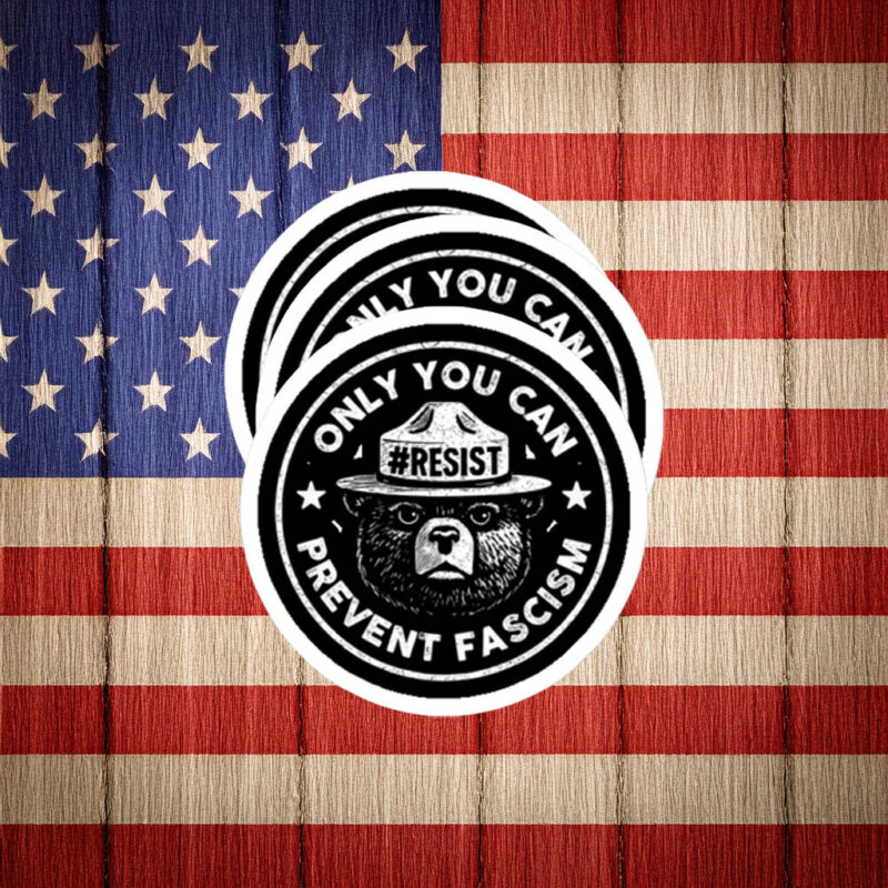Only You Can Prevent Fascism Resist Bear Sticker