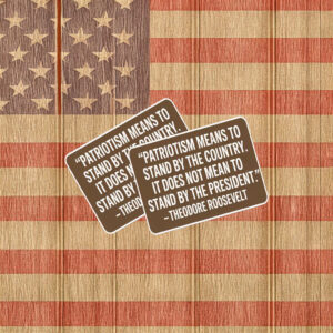 Patriotic Teddy Roosevelt Quote Sticker – Resist Sticker