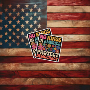 Protect Democracy Decal No Kings In America Sticker
