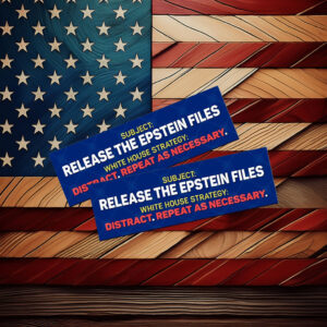 Release the Epstein Files Sticker